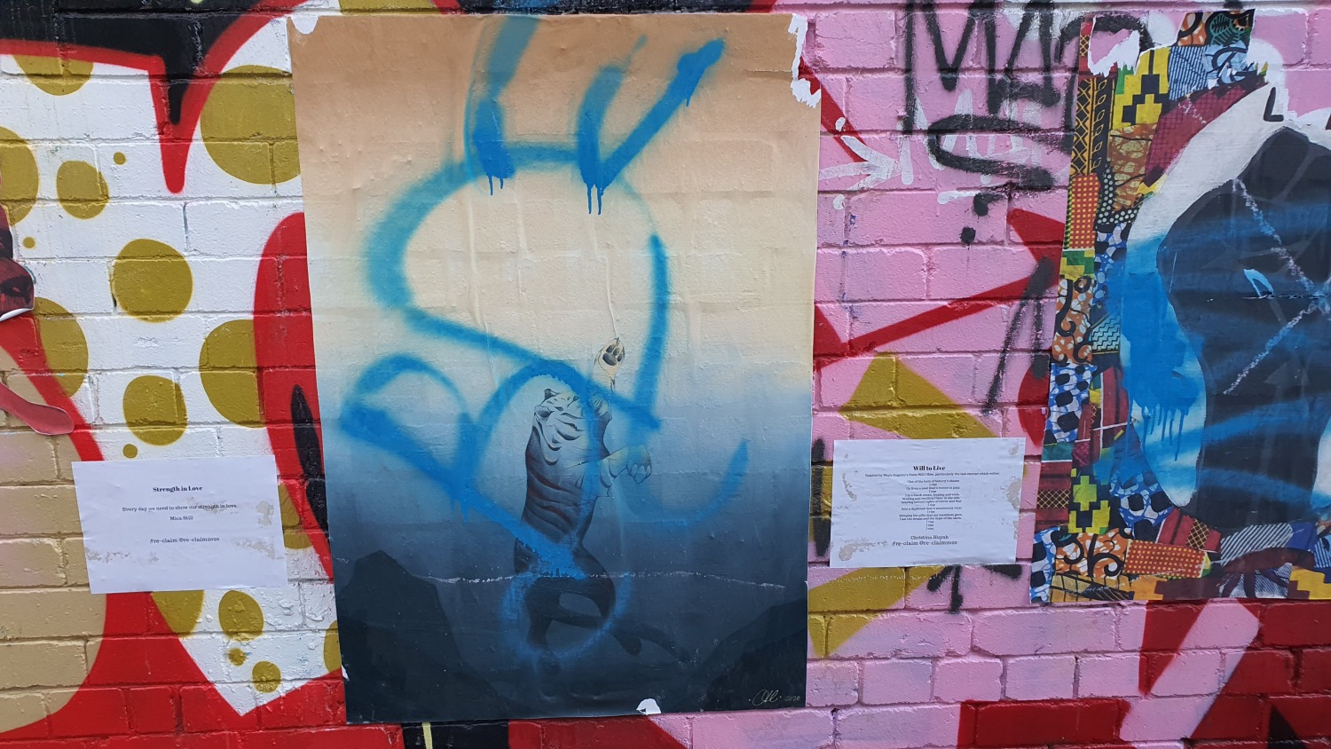 Cope Street (West) Newtown Street Art Sydney Art Out Live (14)